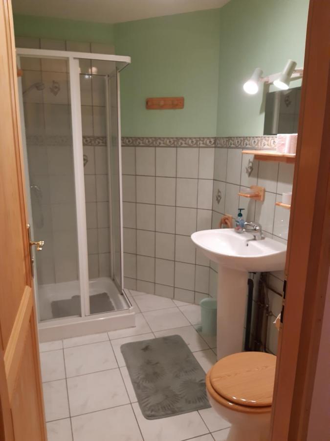 Les Angeliques Apartment Gerardmer Exterior photo